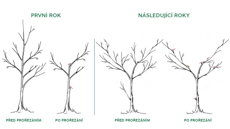 jak-prorezavat